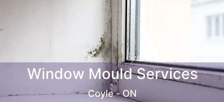  Window Mould Services Coyle - ON