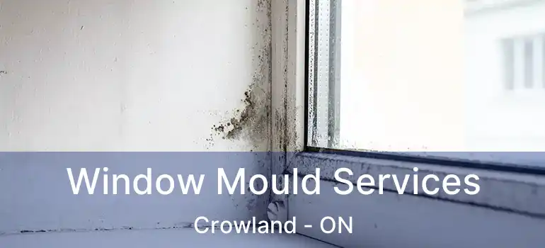  Window Mould Services Crowland - ON