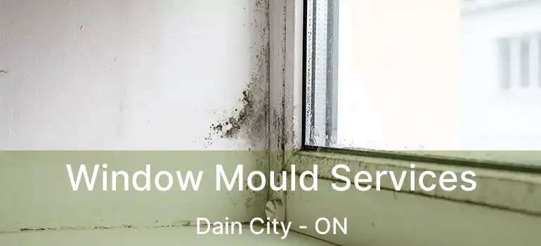  Window Mould Services Dain City - ON