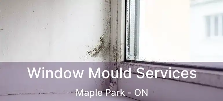  Window Mould Services Maple Park - ON
