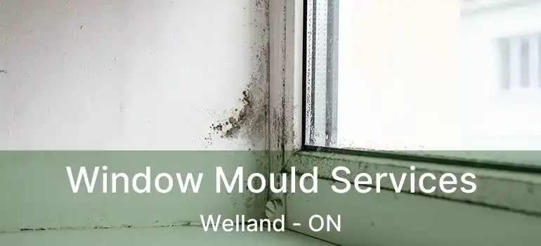  Window Mould Services Welland - ON