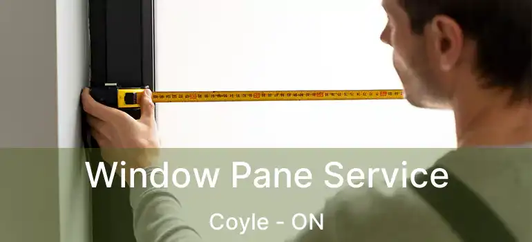  Window Pane Service Coyle - ON