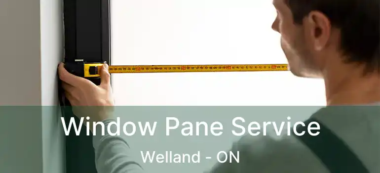  Window Pane Service Welland - ON