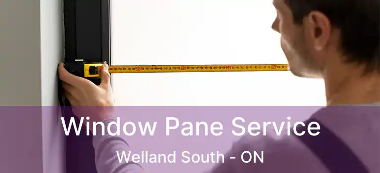  Window Pane Service Welland South - ON