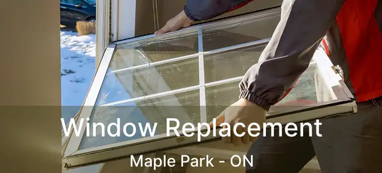  Window Replacement Maple Park - ON