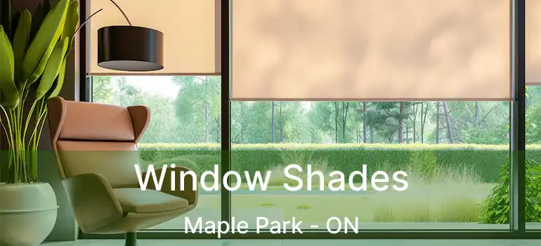  Window Shades Maple Park - ON