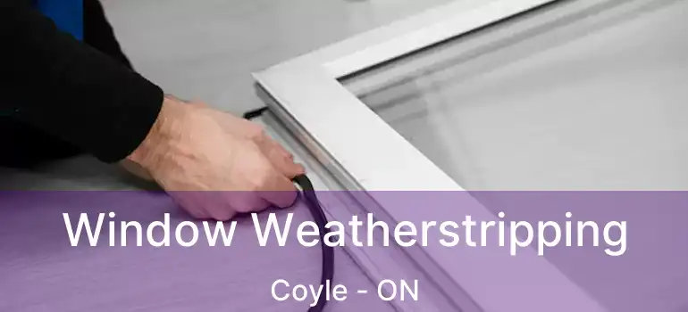  Window Weatherstripping Coyle - ON