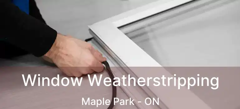  Window Weatherstripping Maple Park - ON