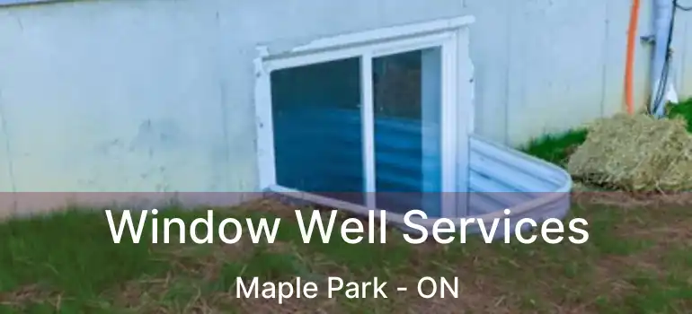  Window Well Services Maple Park - ON